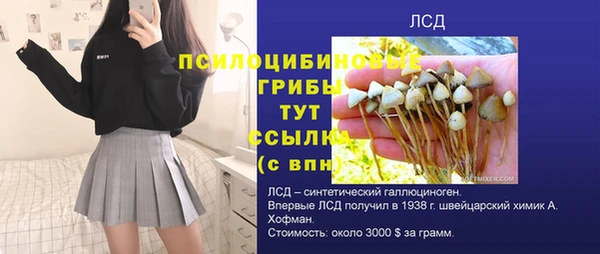 бутират Алзамай