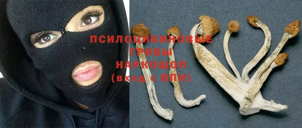 дурь Алексин